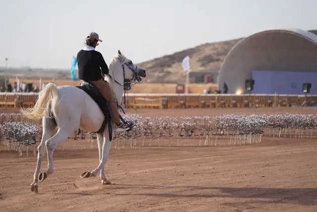Horse Riding
