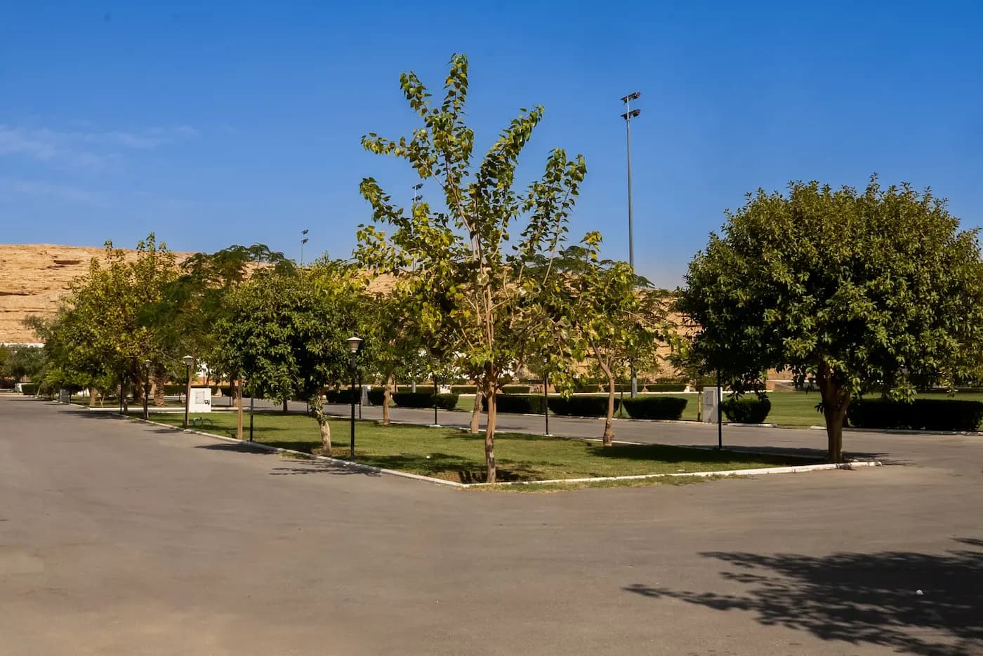 Parking Space